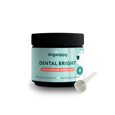 Dental Bright
